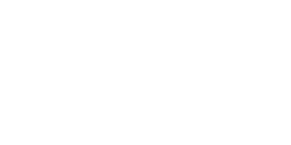 VIVO game provider