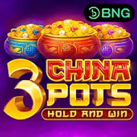 3 China Pots