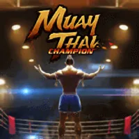 Muay Thai Champion