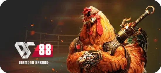 DS88